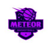 Meteor Basketball logo template
